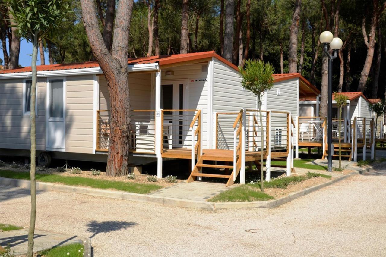 Mobile Home,1133238342:JPEG
